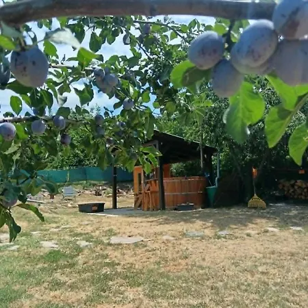 Szerencs-lak Apartmán *