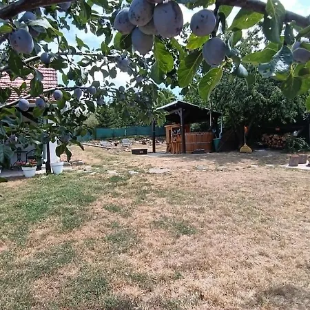 Appartement Szerencse-lak *